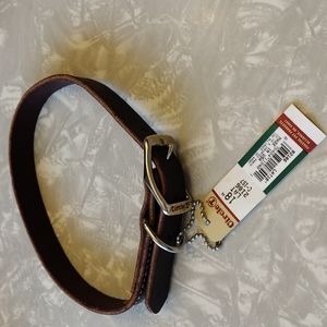 Circle T dog collar.